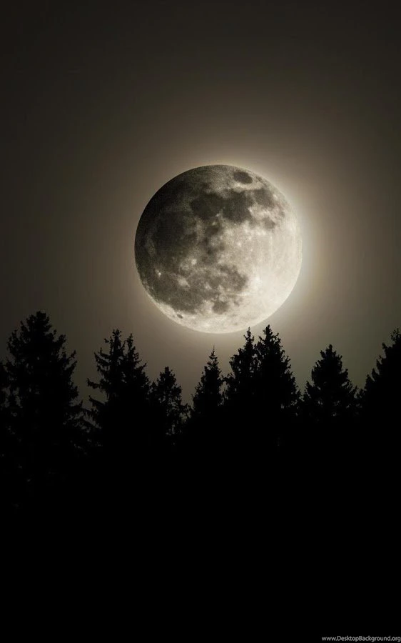 Moonlight Live Wallpapers Android Apps On Google Play