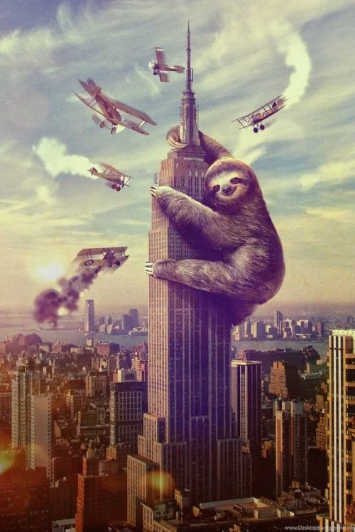 Sloth Smile