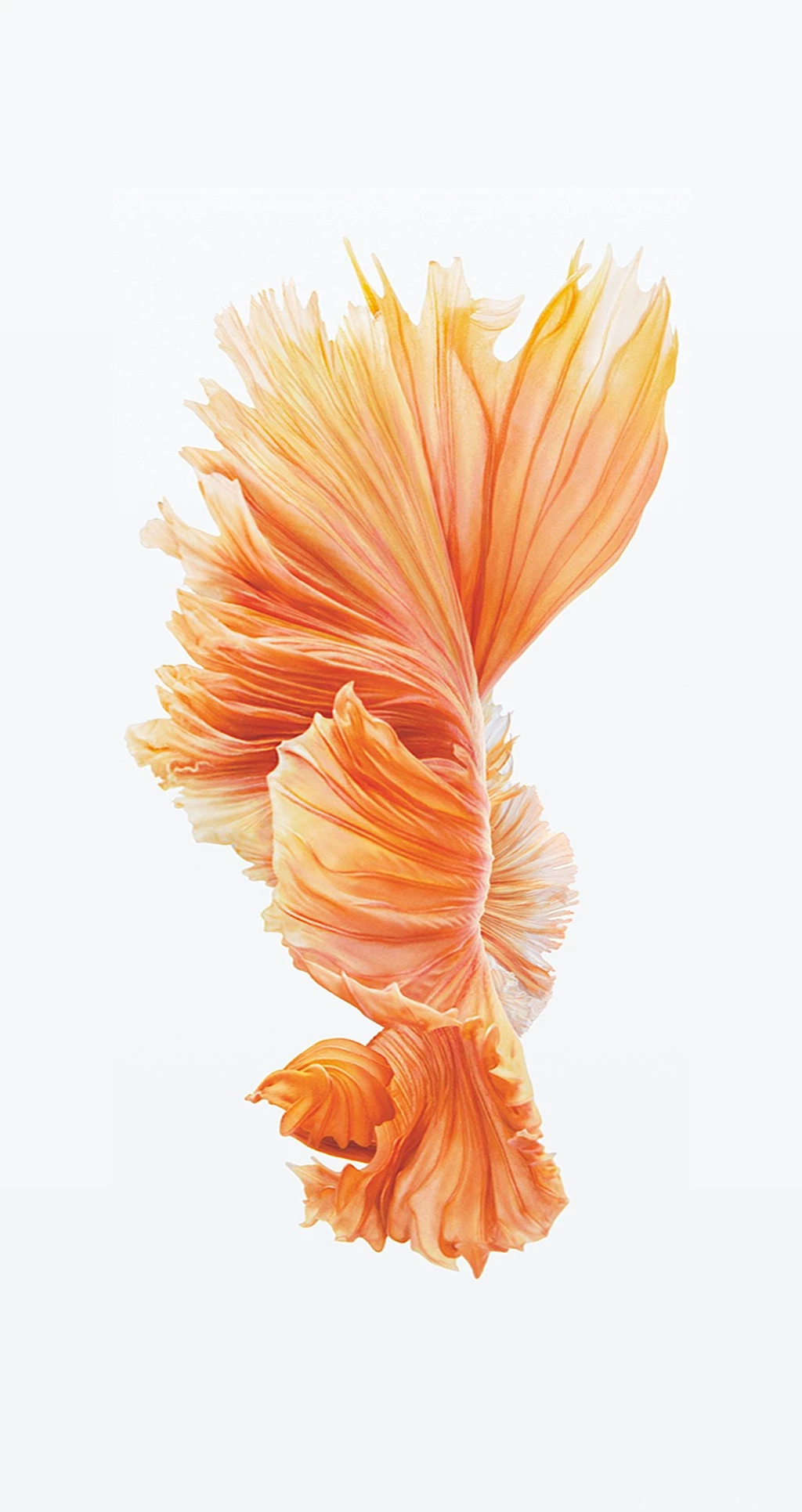 Download iPhone 6s/6s Plus Wallpapers