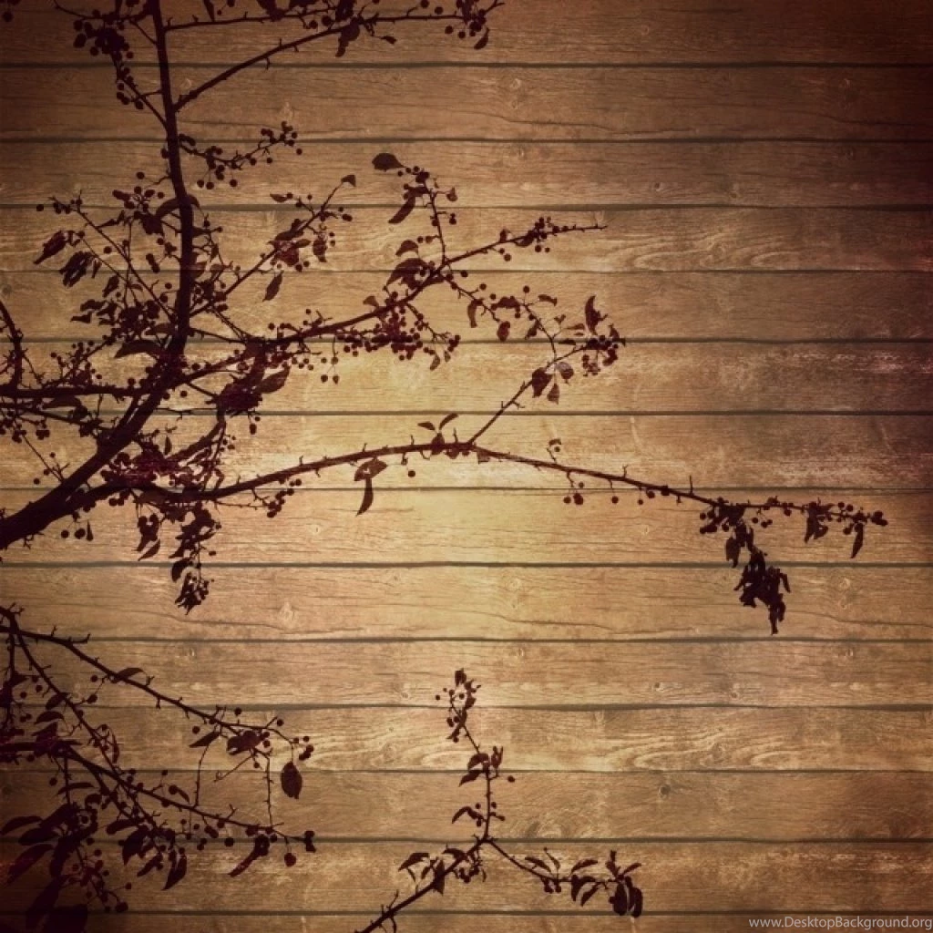 Iphone Wallpapers Subreddit