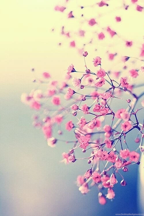 Here S Se Cute Vintage Backgrounds For Your Phone Desktop Background