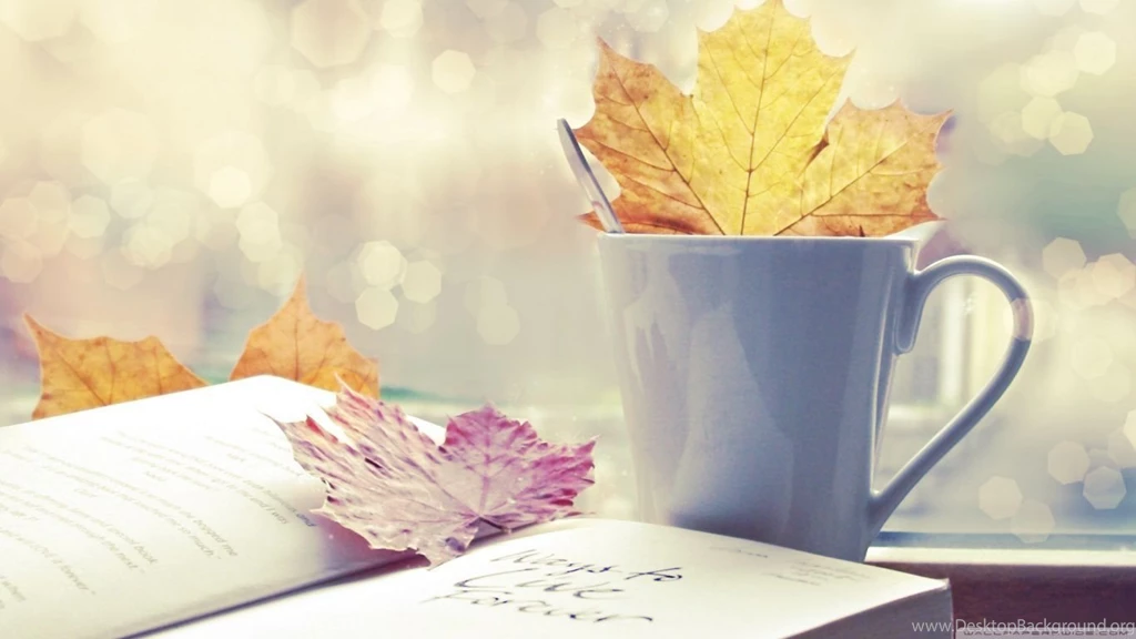 HD Cute Vintage Photography Wallpapers Widescreen HiReWallpapers 8072