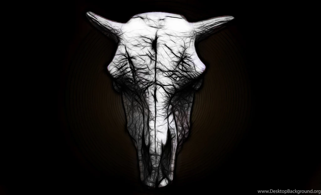 Bull Photos By Paul Senna On FeelGrafix