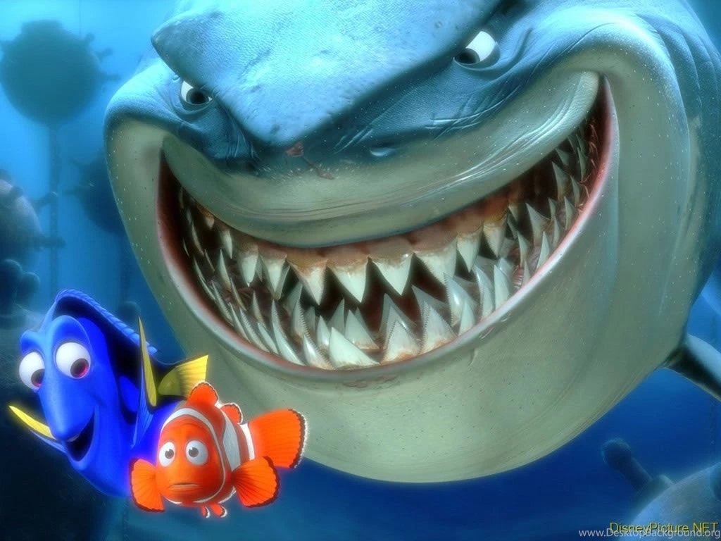 Beautiful Nemo Fish Wallpapers ~ WALLPAPERS