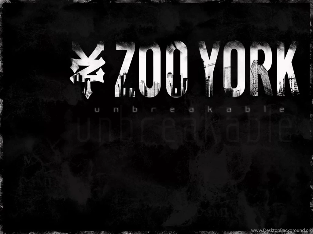 Zooyork DeviantArt