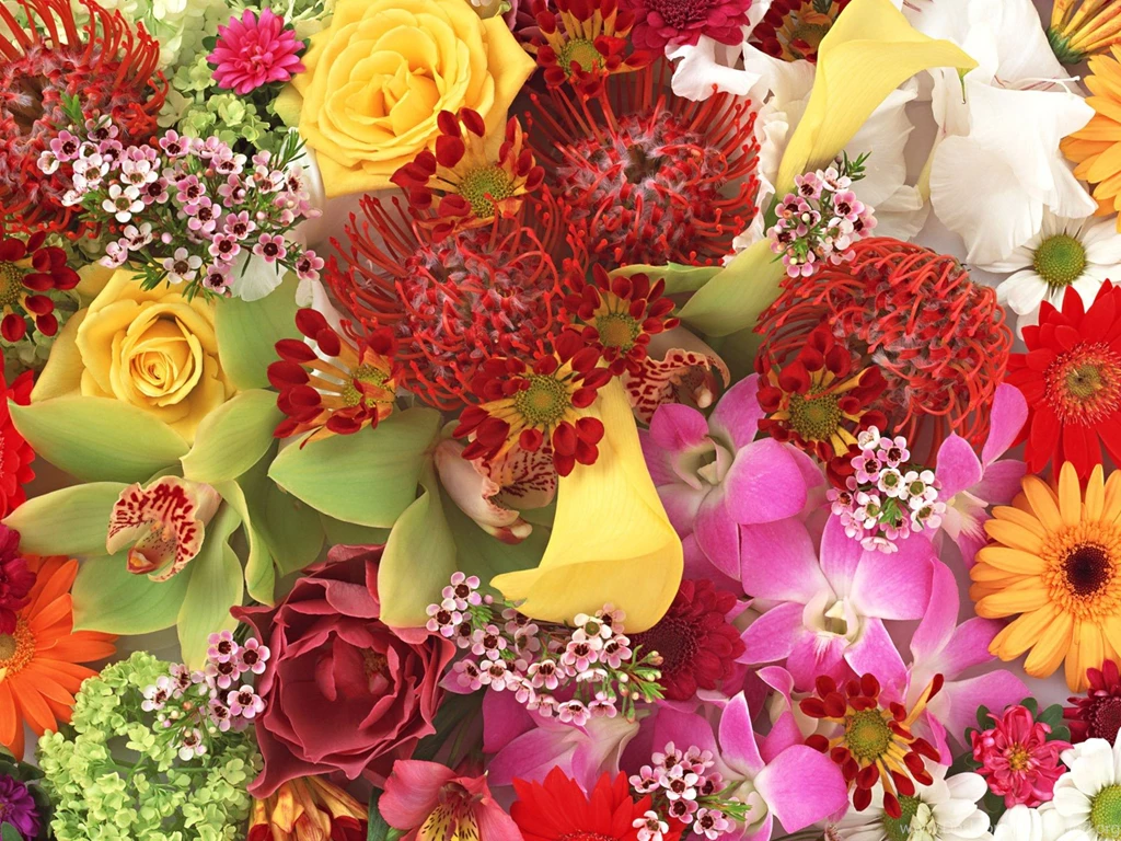 Bouquet Flowers Wallpapers HD