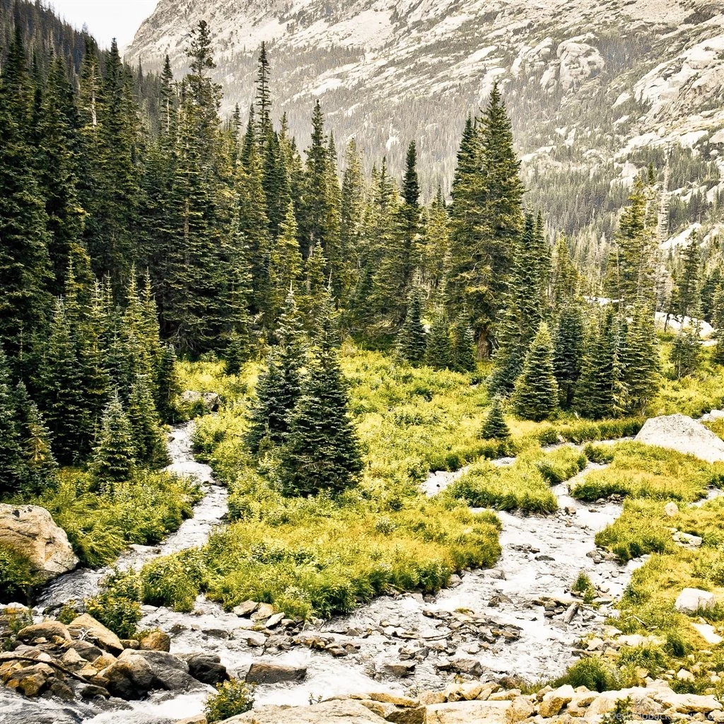 Rocky Mountain Overcast iPad Air Wallpapers Download