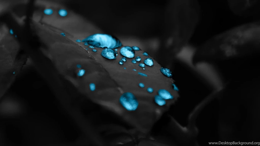 Blue Raindrops Wallpapers 2560x1600   (