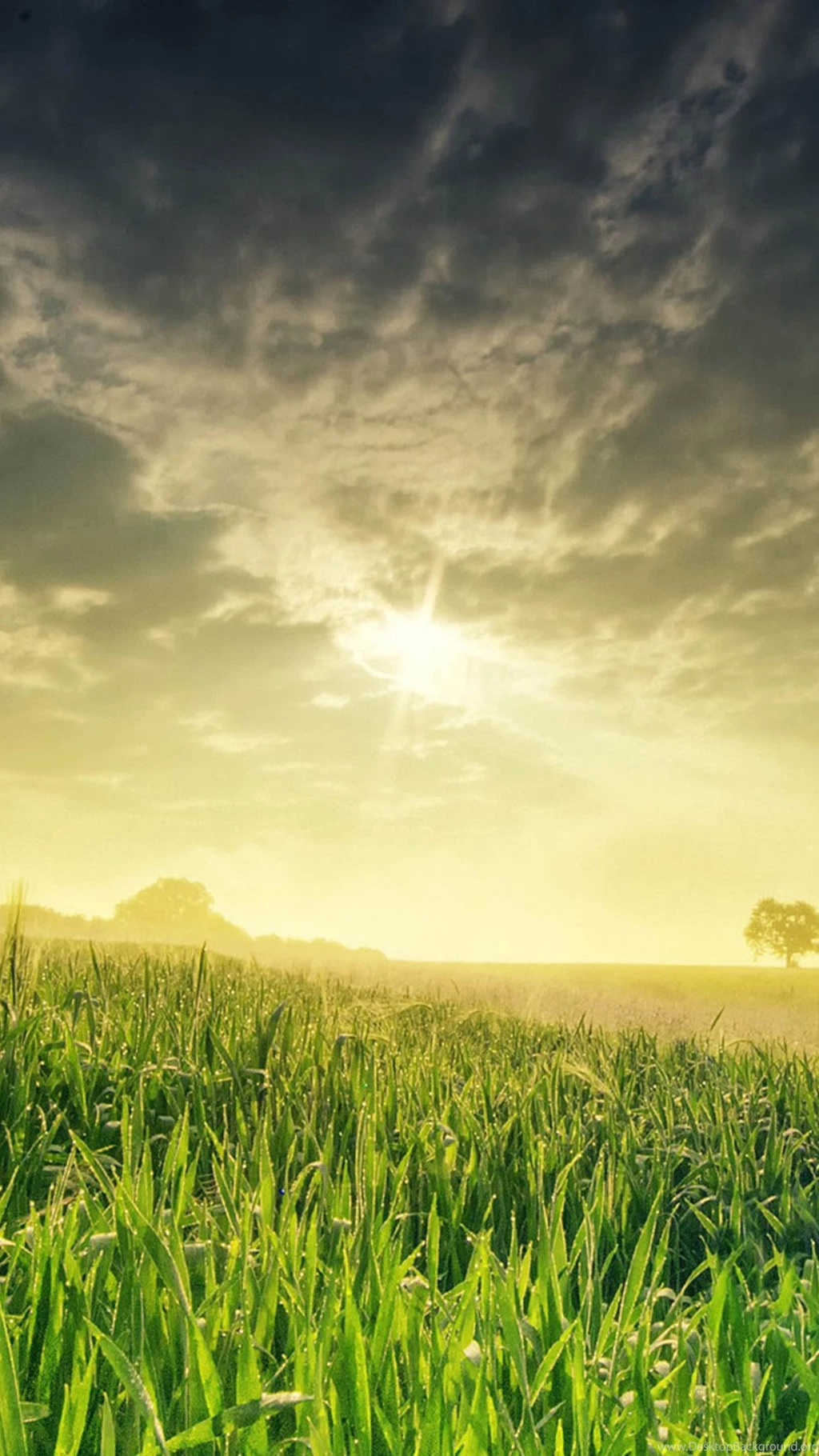 New Backgrounds Galaxy S5 Wallpapers 167