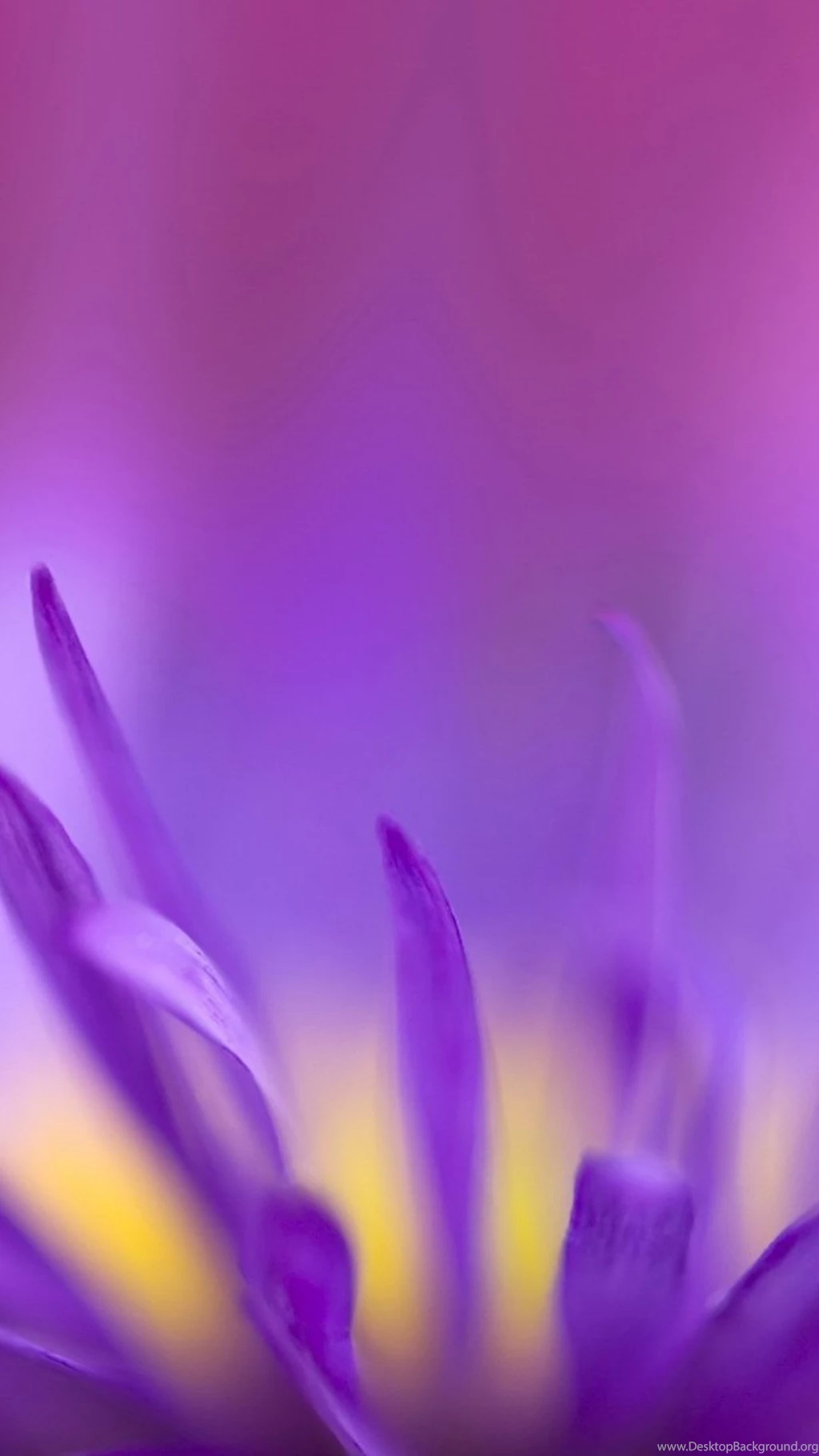 New Backgrounds Galaxy S5 Wallpapers 193