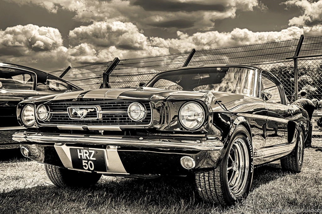 Ford Mustang GT350H Wallpapers