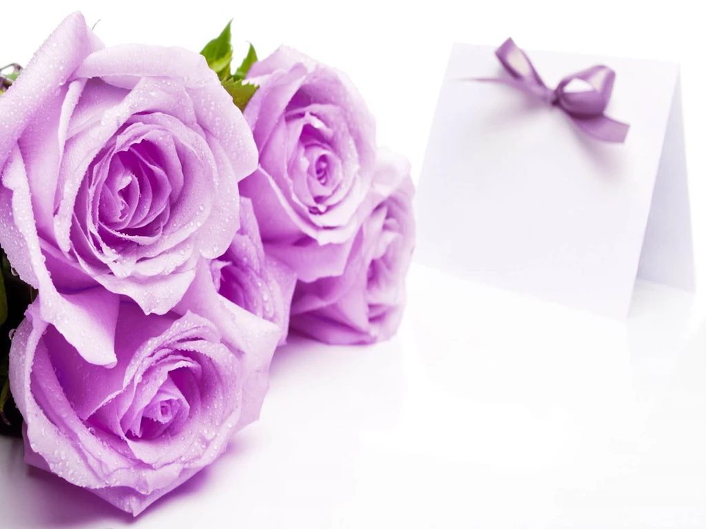 Flowers Rose Wallpaper Backgrounds For Desktop Backgrounds Ndemok.com