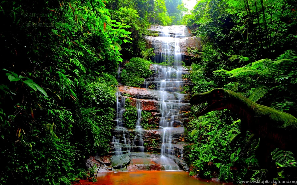 Forest Waterfall Wallpapers