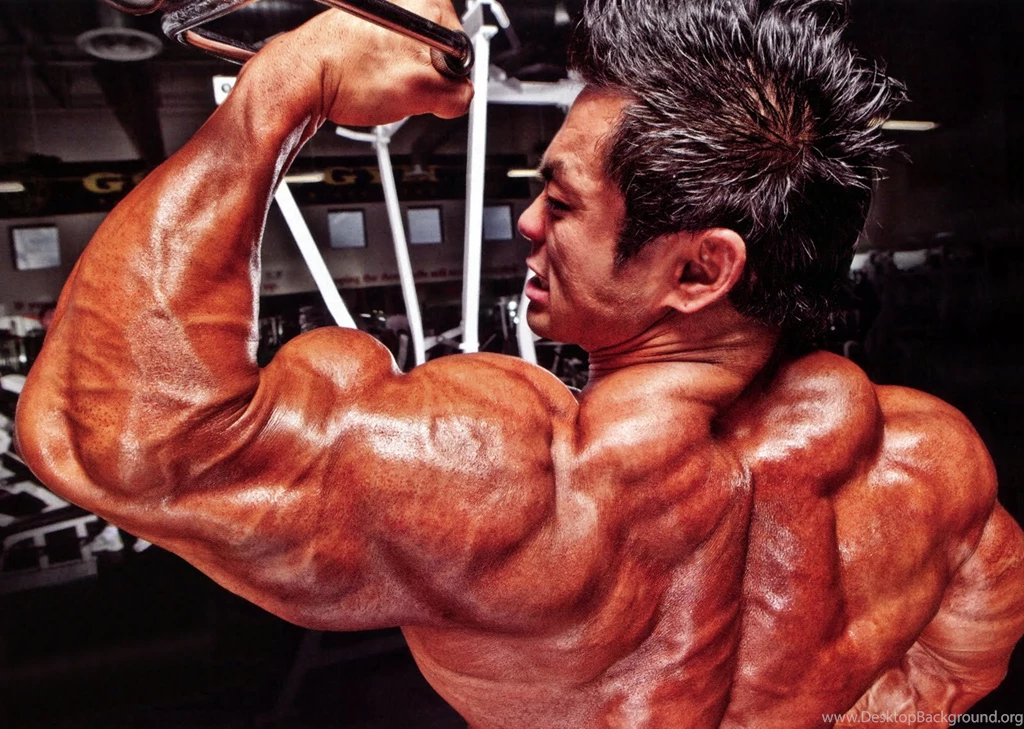 Wallpapers Bodybuilder Bodybuilding Muscle Hidetada Yamagishi ...