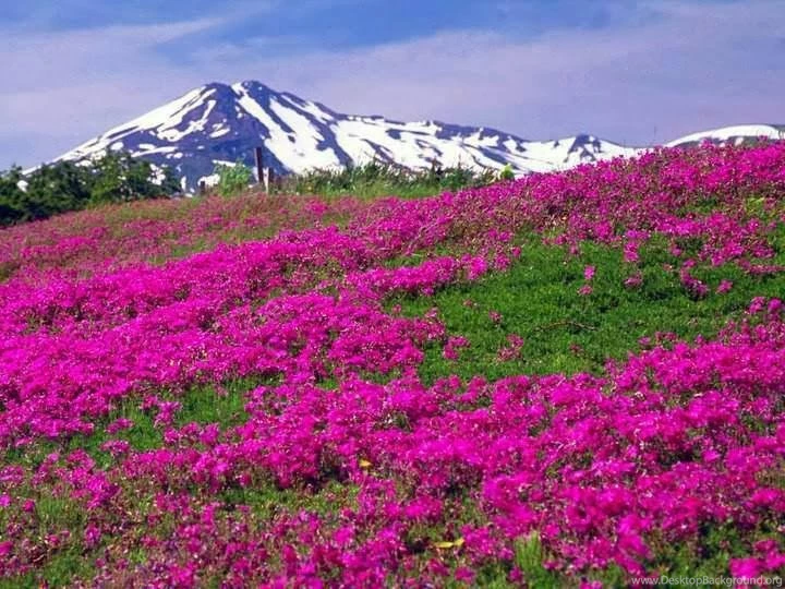 Amazing Scenery Wallpapers HD Free Download ~ Unique Wallpapers