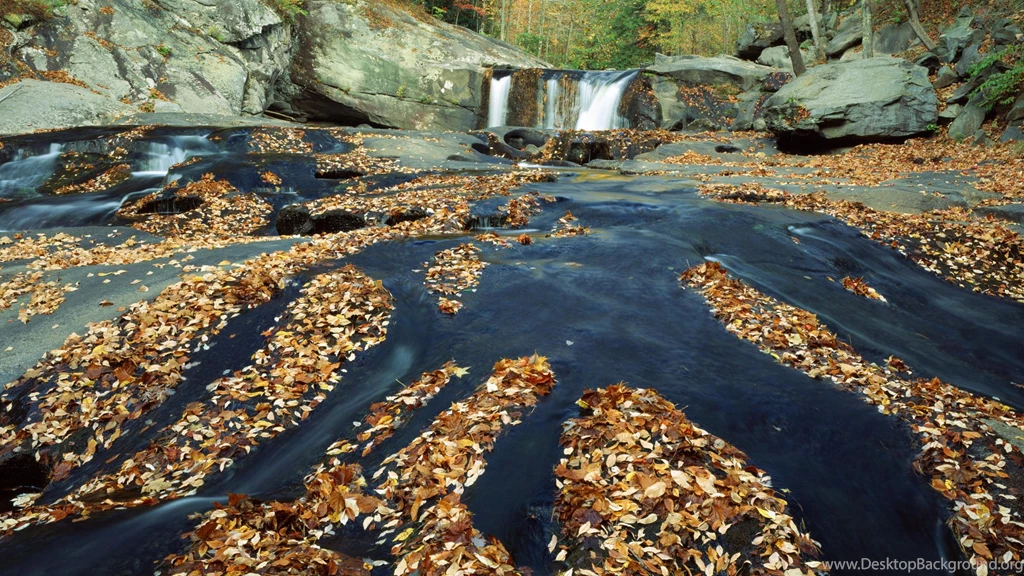 Skellng Michael 1920×1080 Hd Wallpapers