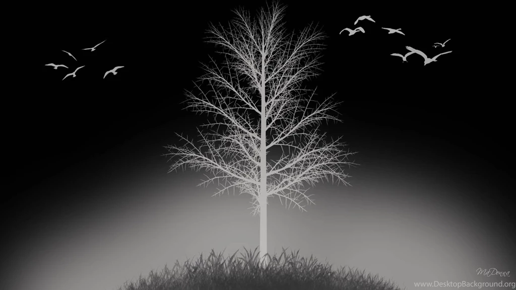 Winter Dark >> HD Wallpaper, Get It Now!