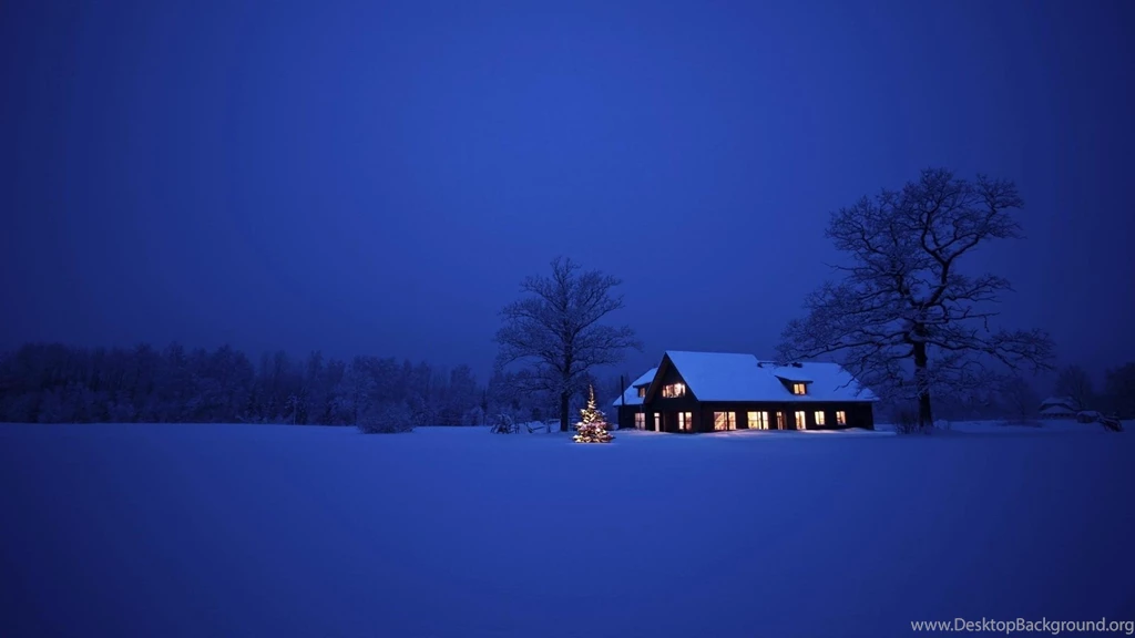 Winter Trees Dark Night Lights Alone Houses Wallpapers