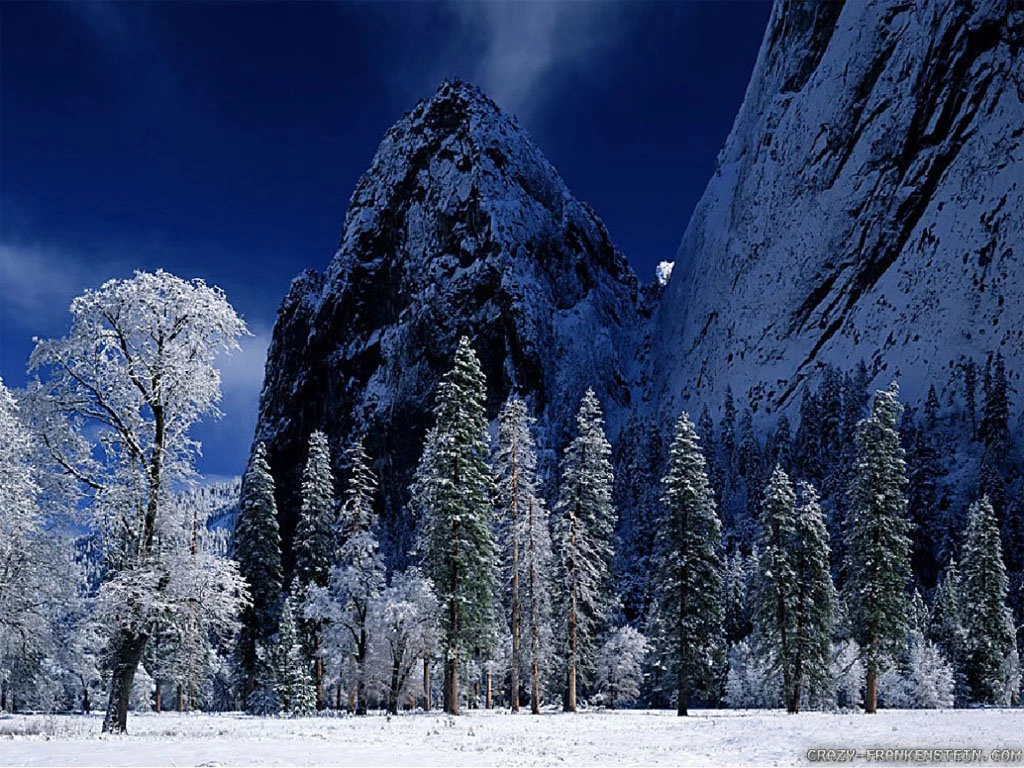 Winter Nature Wallpapers Crazy Frankenstein