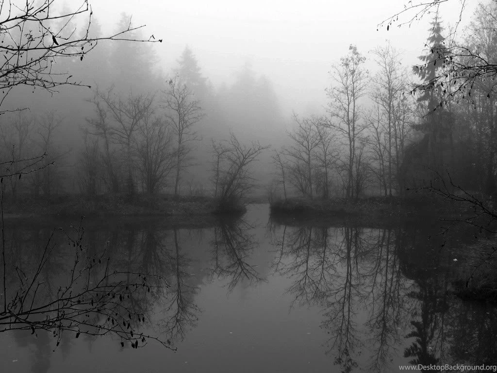Download Snowy Dark Forest Wallpapers For Iphone