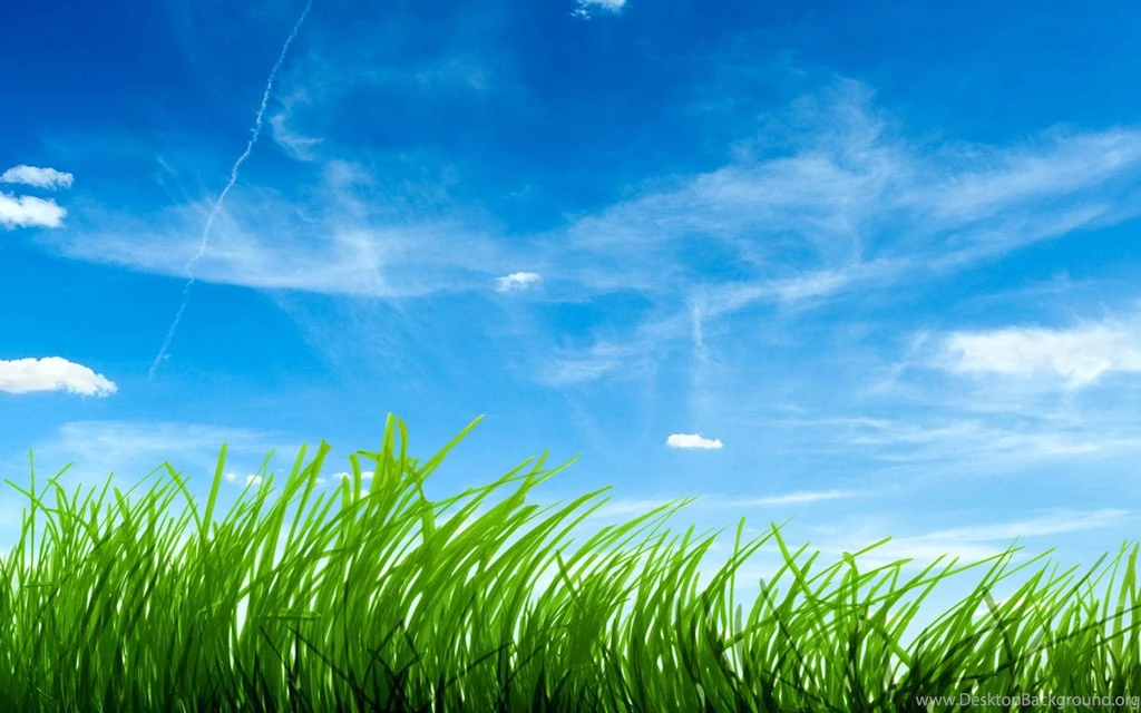 Beautiful Wallpaper Backgrounds