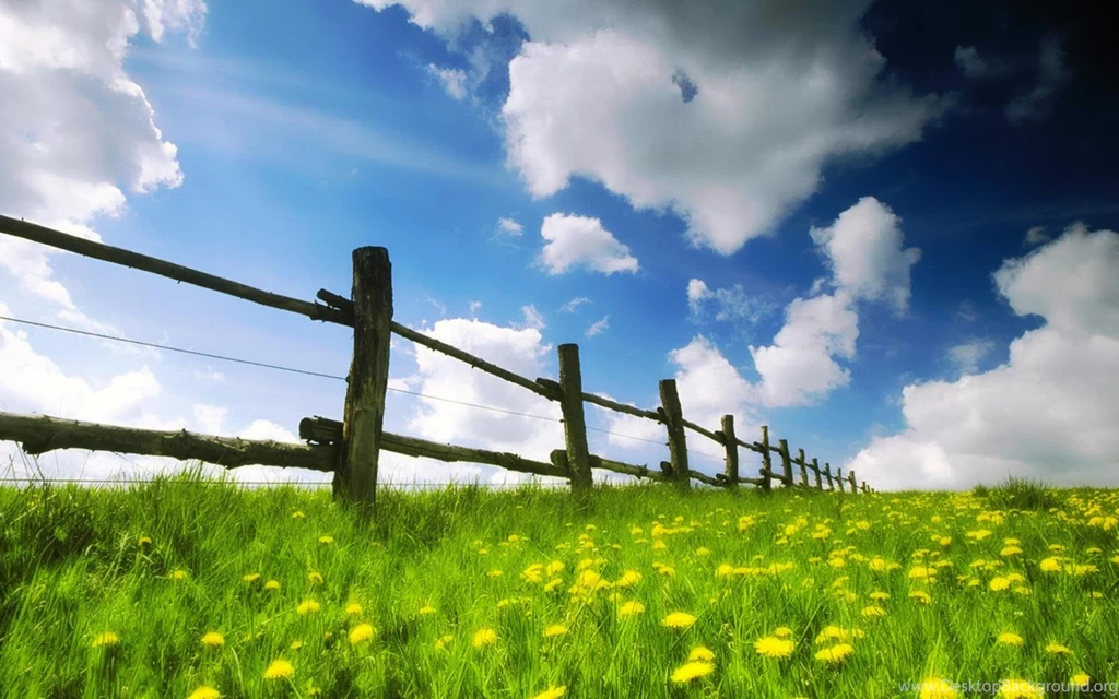 Free Wallpicz: Wallpapers Desktop Lifehacker