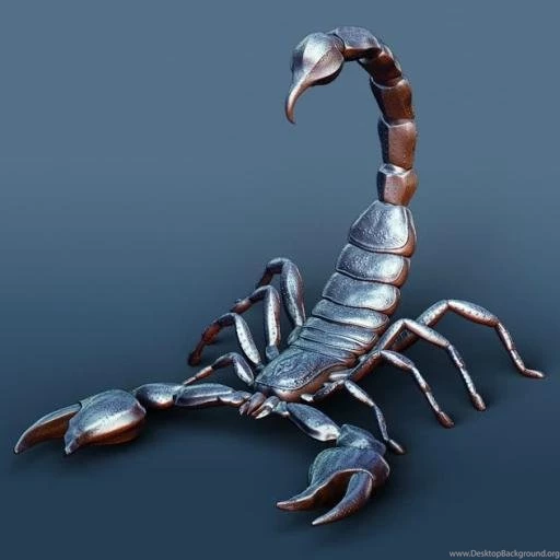 3D Scorpion Magic Wallpapers Download 3D Scorpion Magic Wallpapers ...