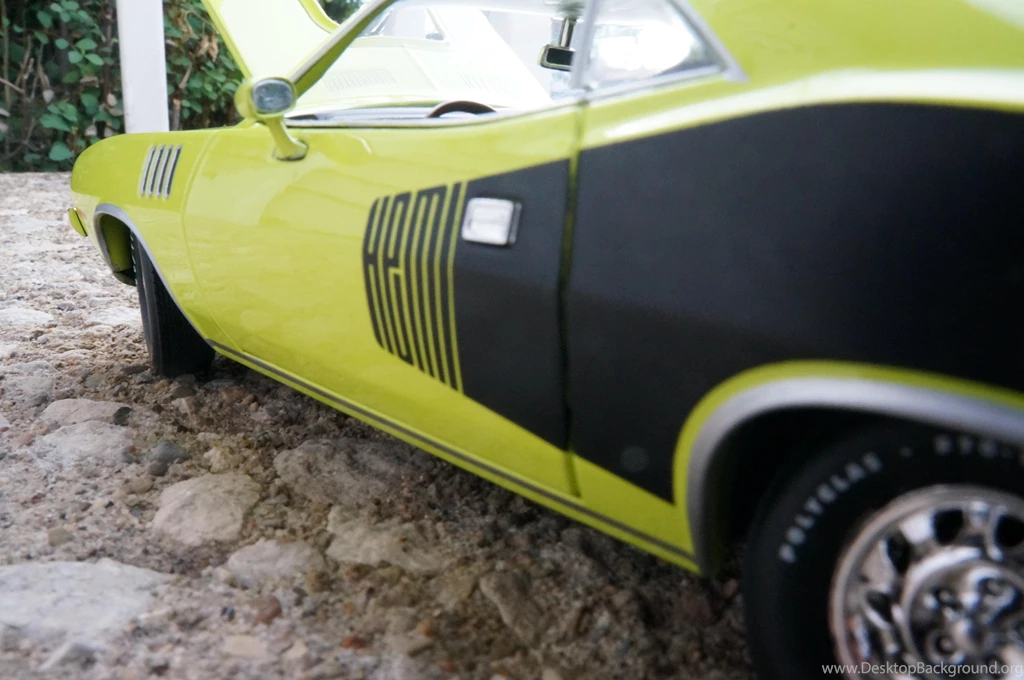 Download Free HQ Cuda Wallpapers   Hqwallbase.pw