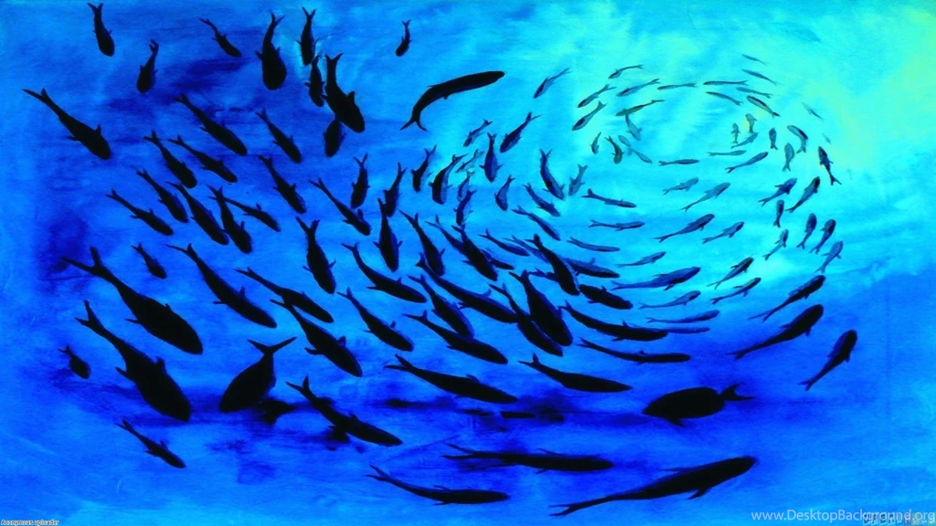 Life Under The Ocean