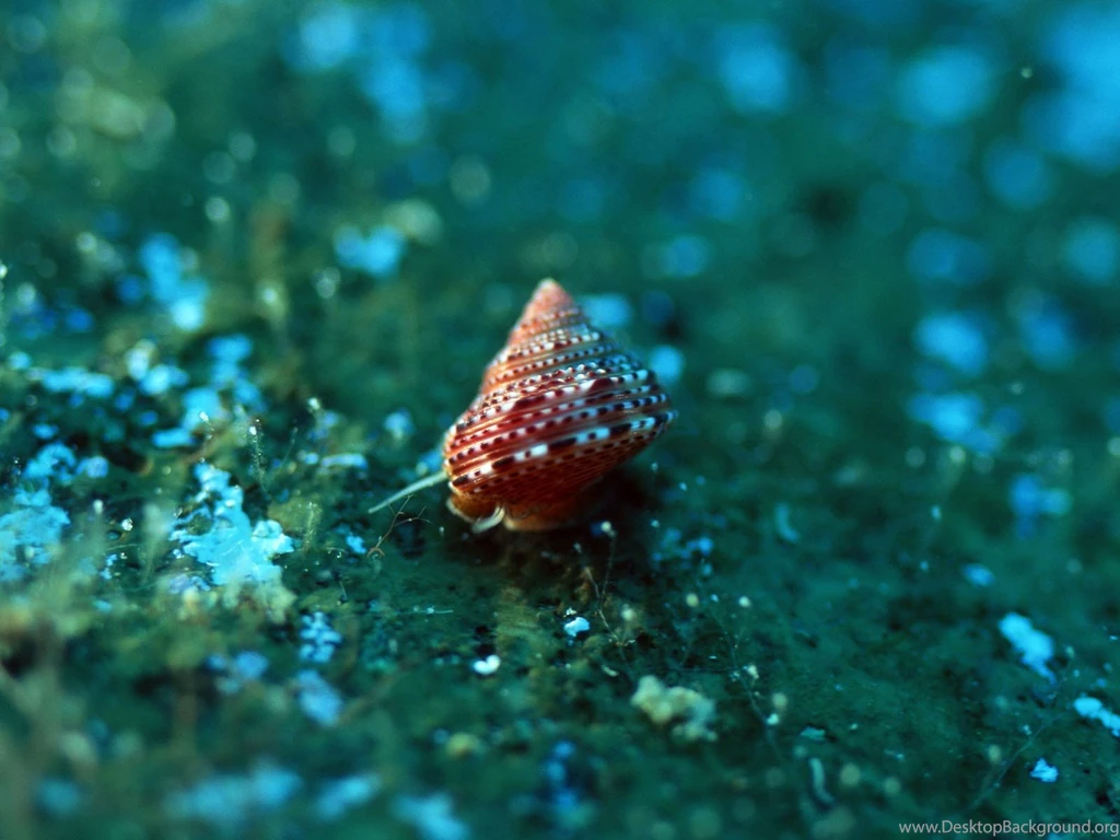 City Under The Ocean (id: 32925) – BUZZERG