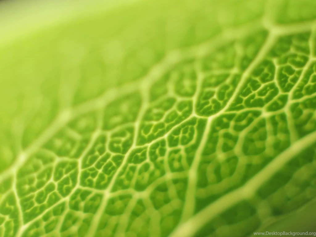 High Resolution Image Collection (30+)