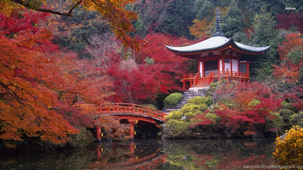 Fonds D'écran Kyoto : Tous Les Wallpapers Kyoto