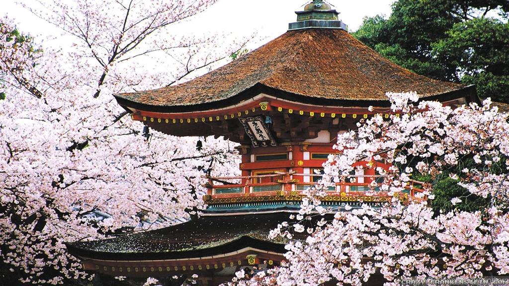 Spring In Japan Wallpapers Crazy Frankenstein