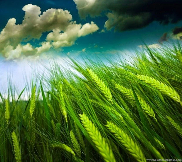 Motorola Droid Razr M Wallpapers Now Available For Download