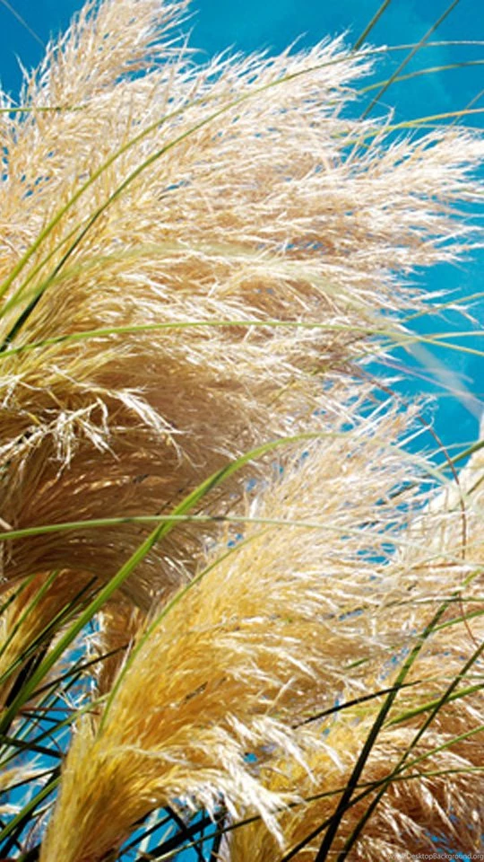 Moto E Wallpapers HD, 540x960 Wallpapers HD, Motorola E Wallpapers