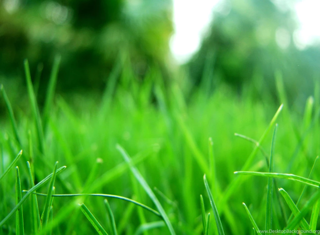 Motorola Xoom Nature Wallpapers 03