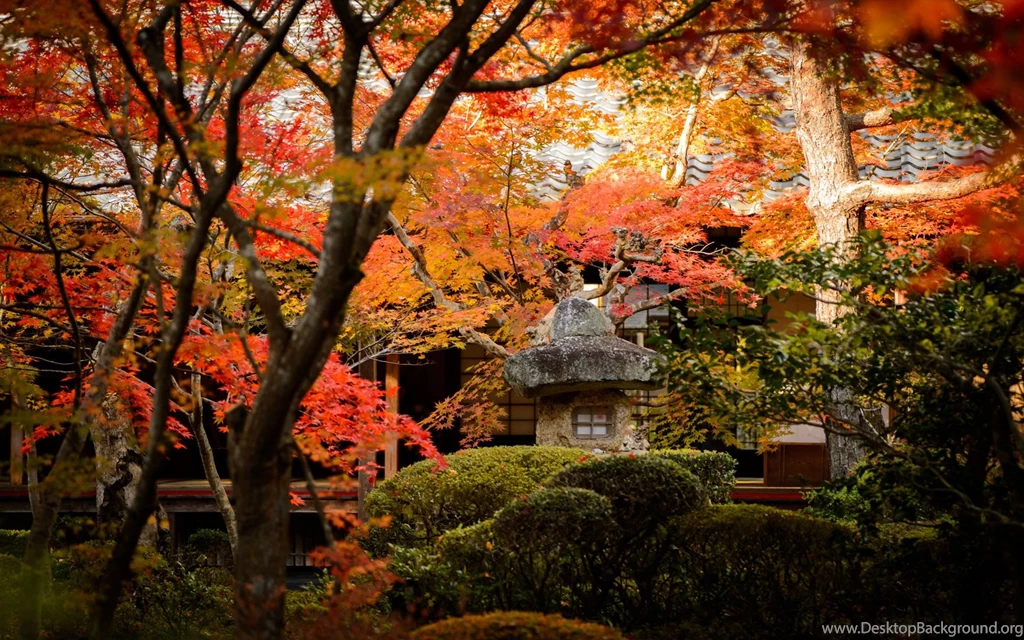 Kyoto Wallpapers Wallpapers Cave