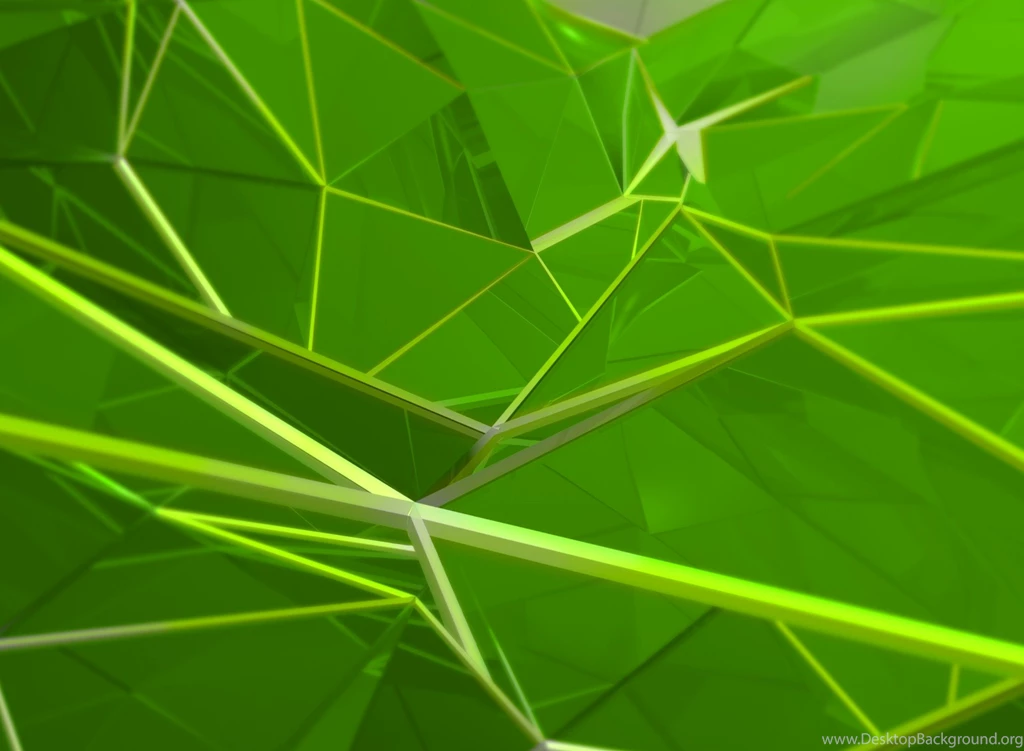 Spider Green Motorola Xoom 2 Wallpapers