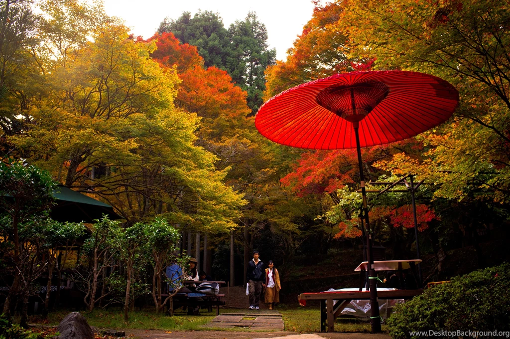 Autumn In Kyoto (