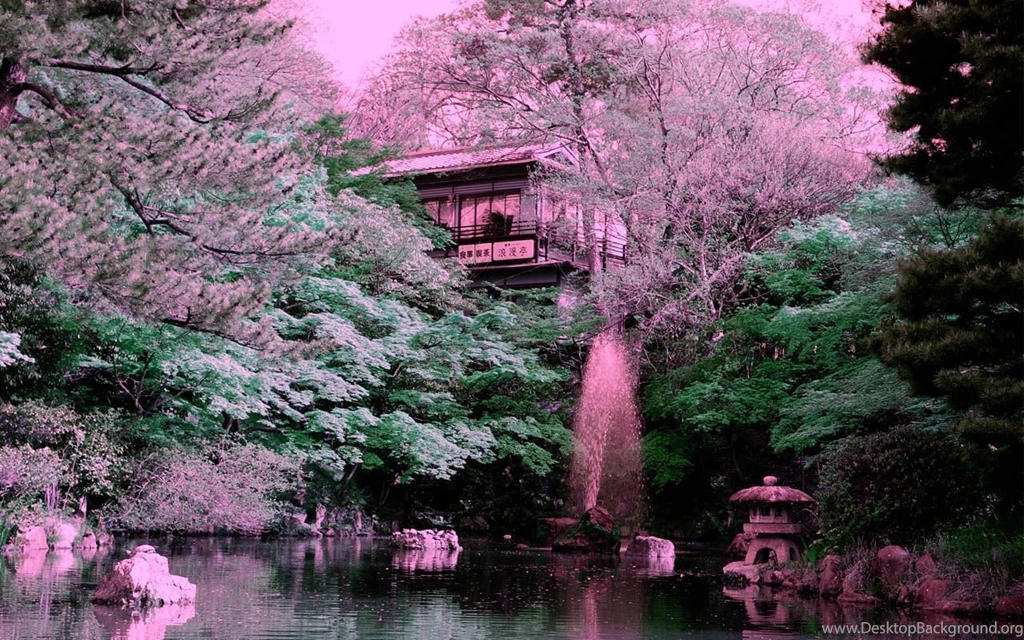Kyoto Maruyama Park ServersStack.com