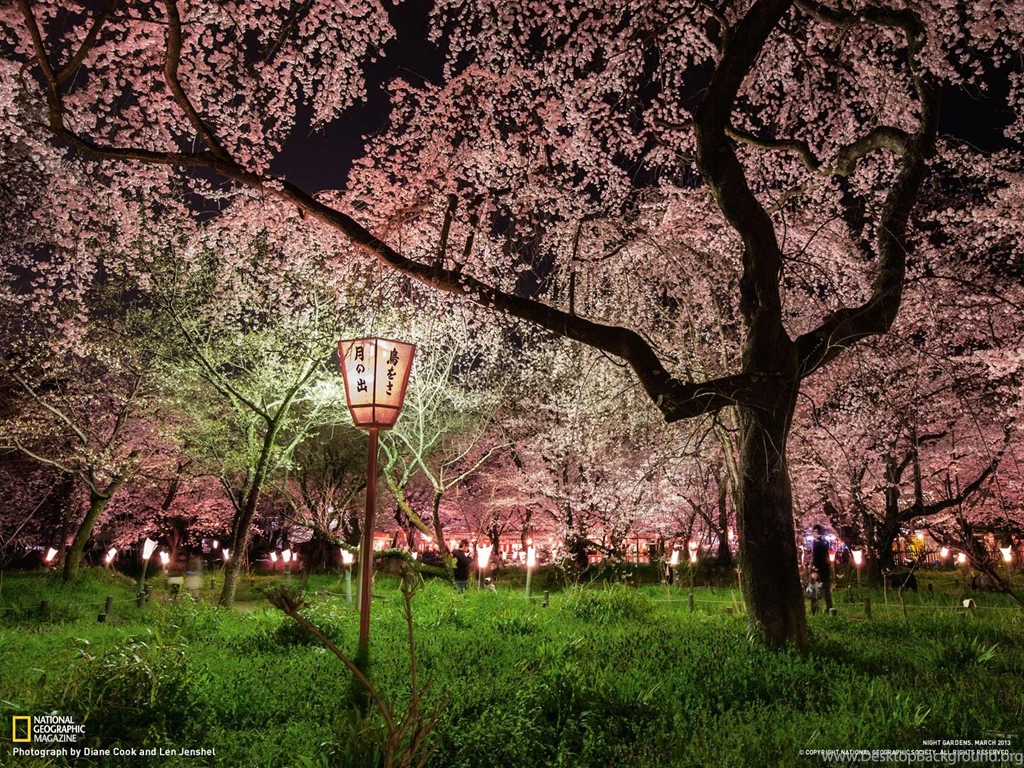 Photography Desktop Wallpapers National Geographic Magazine