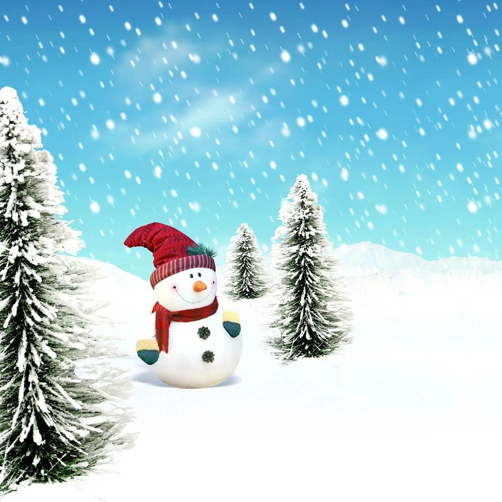 iPad Wallpapers: Free Download Christmas Scenery iPad Mini ...