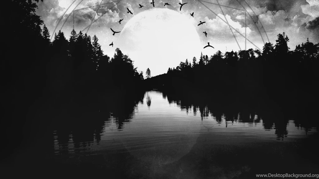 Insomnium Black And White Raven Wallpapers Ver.2 By Lumianos On ...