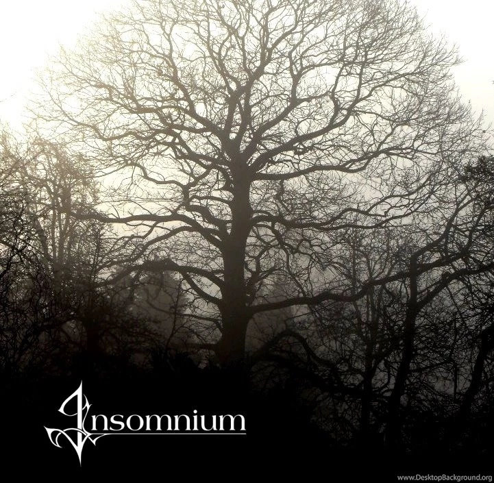 Insomnium Album Cover By Faithless12 On DeviantArt