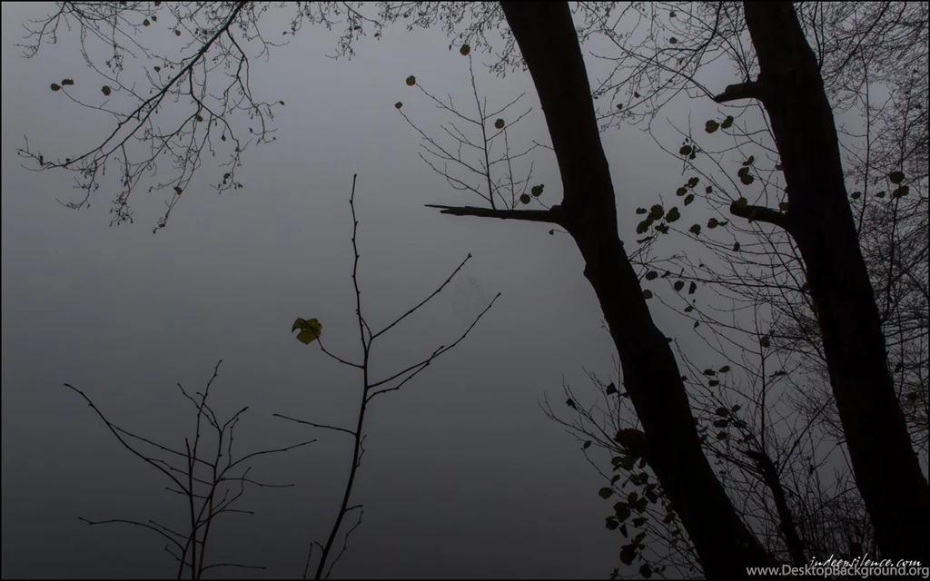 Through The Shadows By Indeepsilence On DeviantArt