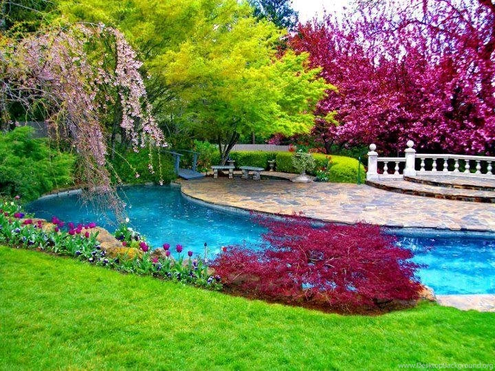 Free Download Latest Most Beautiful HD Widescreen Natural Scene ...