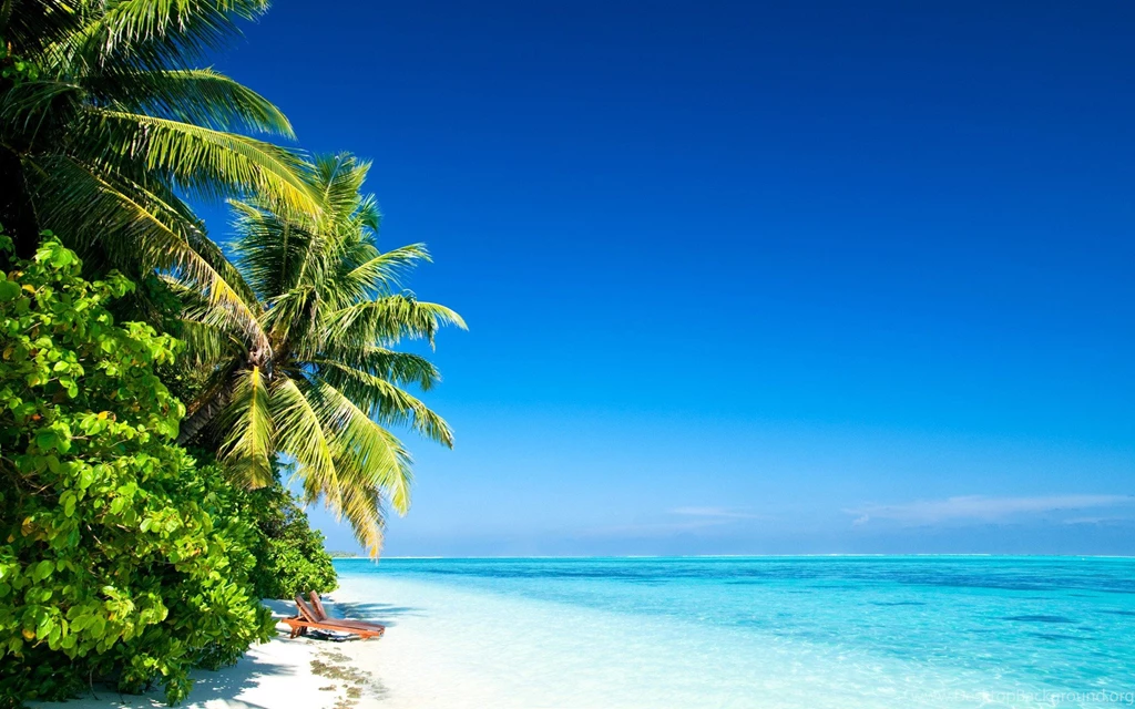 Beaches: Beautiful Place Blue Sky Palms Beach Desktop Backgrounds ...