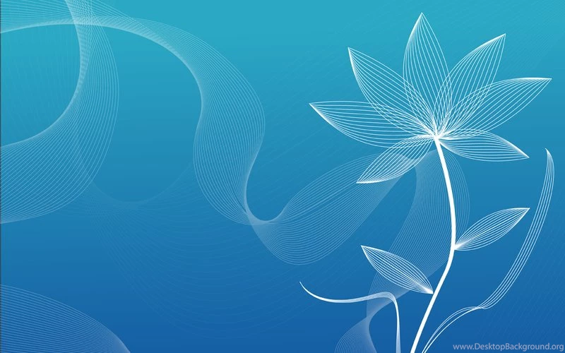 White Flower Wallpapers By Littleredman On DeviantArt