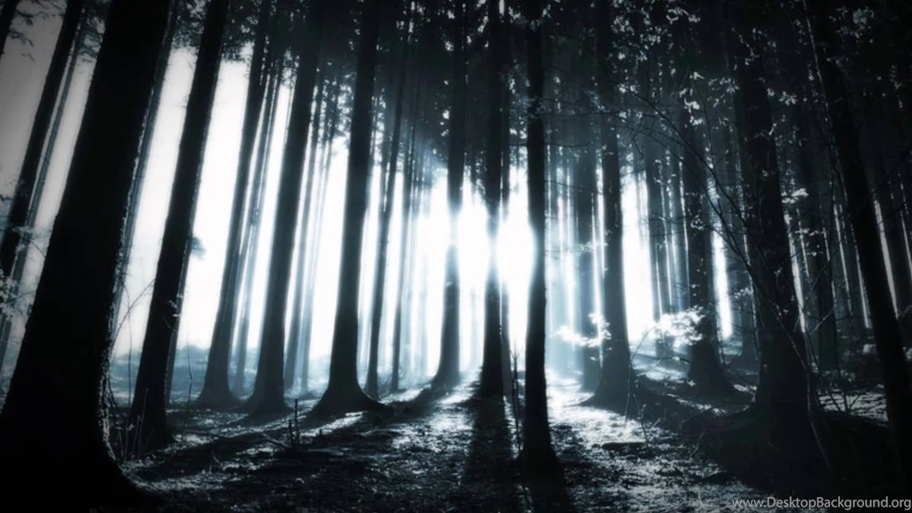 Alcest Elevation (Subtitulos En Español) YouTube