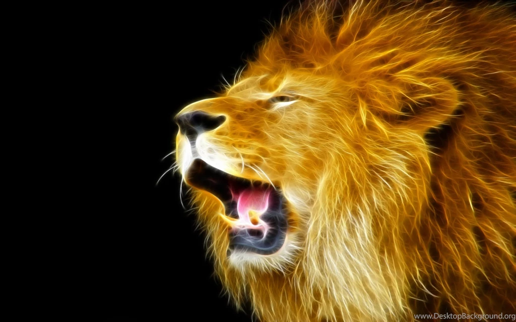 Lion Wallpapers Hd